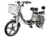Электровелосипед Delivery Line V8 (8,8Ah 48V 350W, 18 дюймов) - Фото 0