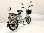 Электровелосипед GreenCamel Транк 18 V8 PRO (R18 250W 60V 20Ah) - Фото 4