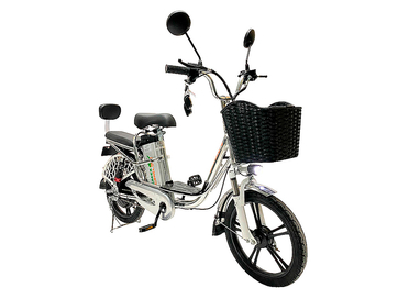 Электровелосипед GreenCamel Транк 18 V8 PRO (R18 250W 60V 10Ah)