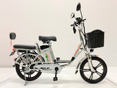 Электровелосипед GreenCamel Транк 18 V8 (R18 250W 60V 20Ah) - Фото 4