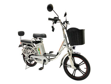 Электровелосипед GreenCamel Транк 18 V8 (R18 250W 60V 10Ah)
