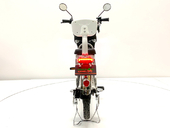 Электровелосипед GreenCamel Транк 18 V8 (R18 250W 60V 10Ah) - Фото 3