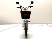 Электровелосипед GreenCamel Транк 20 V8 (R20 250W 60V 10Ah) - Фото 7