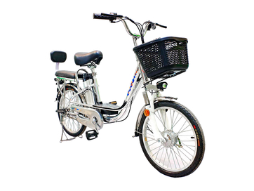 Электровелосипед GreenCamel Транк 20 V8 (R20 250W 60V 10Ah)