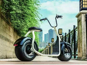 Электроскутер Citycoco Harley 2000W - Фото 22