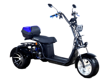 Электротрицикл SKYBOARD TRIKE BR60-3000 PRO FAST