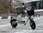 Электровелосипед GreenCamel Транк Монстр PRO (R16FAT 500W 48V15Ah) - Фото 1