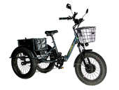 Электрический трицикл фэтбайк E-motions Panda 20 (750W 15Ah) - Фото 0