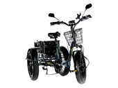 Электрический трицикл фэтбайк E-motions Panda 20 (750W 15Ah) - Фото 1