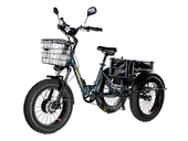 Электрический трицикл фэтбайк E-motions Panda 20 (750W 15Ah) - Фото 2