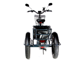 Электрический трицикл фэтбайк E-motions Panda 20 (750W 15Ah) - Фото 4